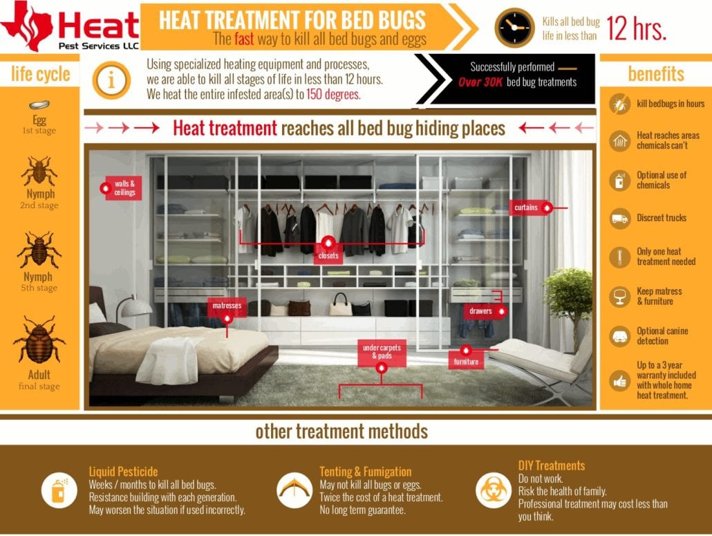 Dallas Bed Bug Heat Treatment Infographic