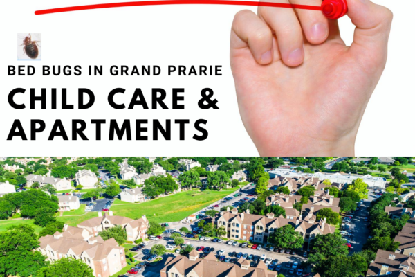 Grand Prarie Bed Bug Treatment in Child Care Facilities and Apartments