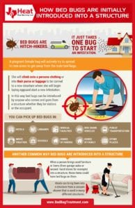 how are so many people in richardson texas getting bed bugs and requiring treatment