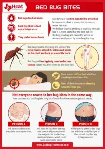 infographic about bed bug bites from dallas and grand prarie bed bug exterminator