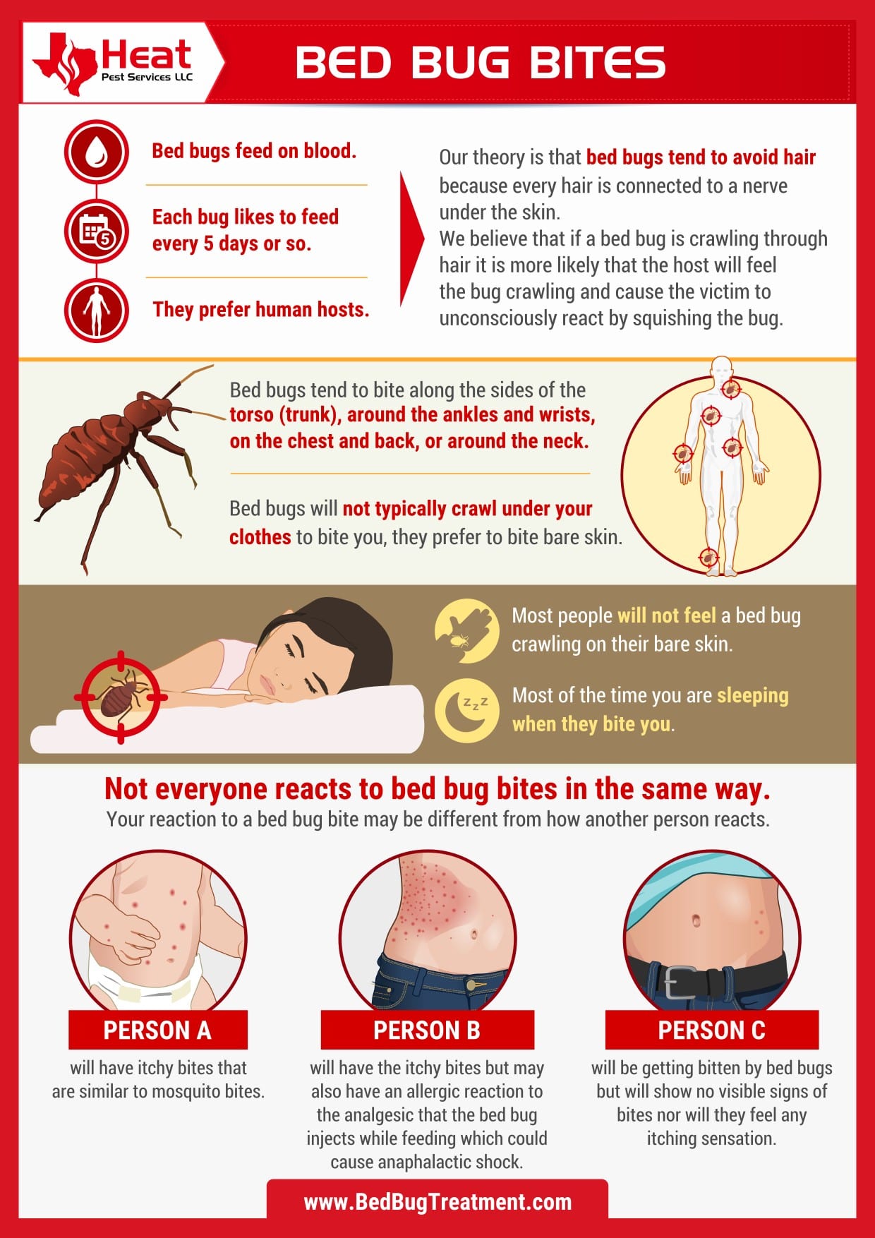 infographic about bed bug bites from dallas and grand prarie bed bug exterminator