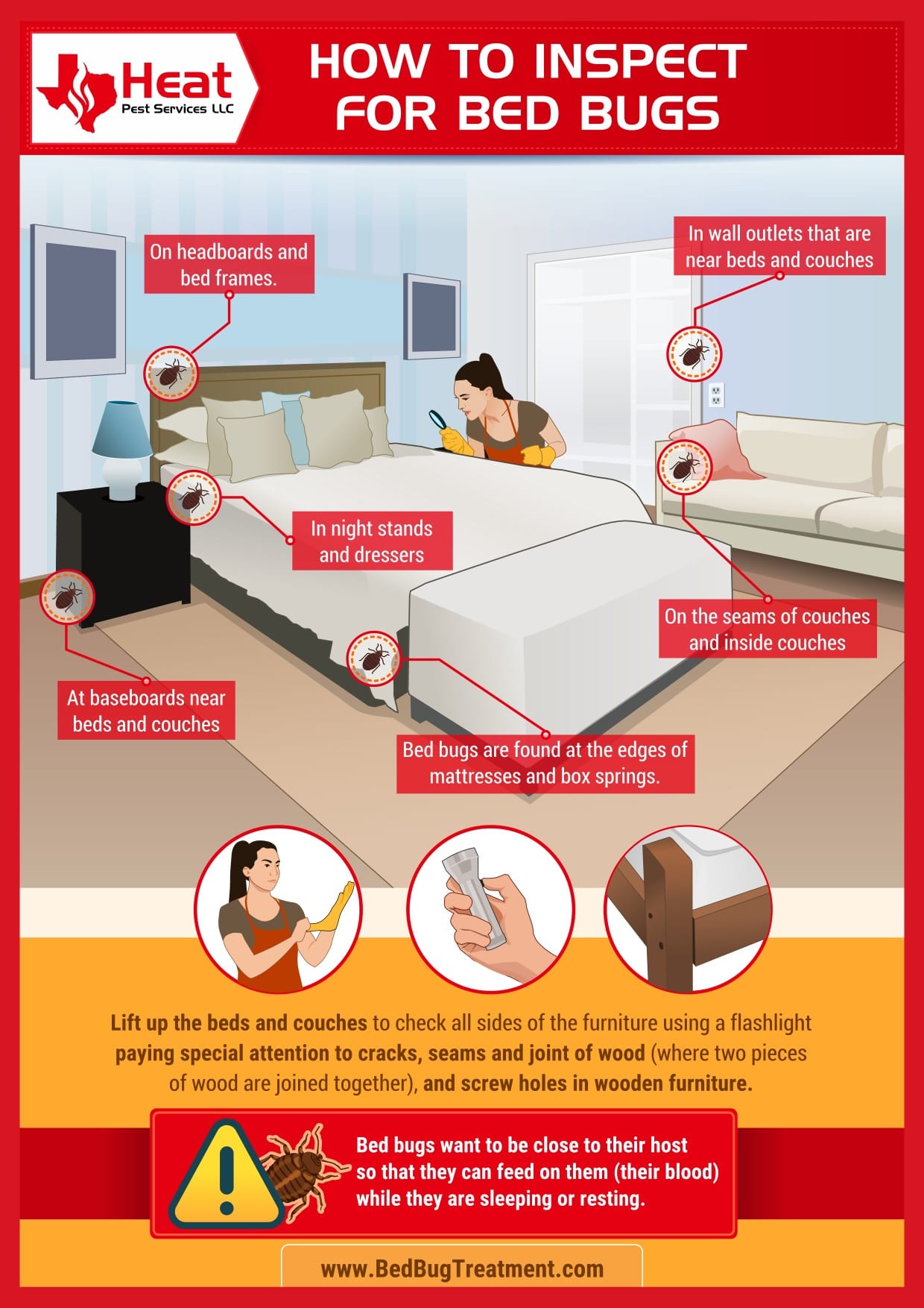 infographic how to inspect to see if you need bed bug treatment in dallas