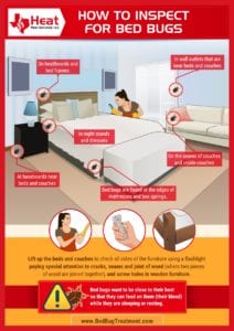 infographic of how to inspect for bed bugs in DeSoto texas
