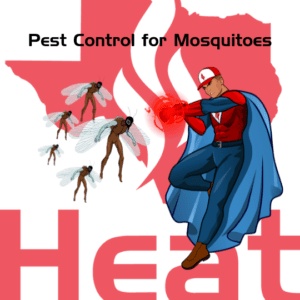 Pest Control for Mosquitoes in Dallas and Fort Worth