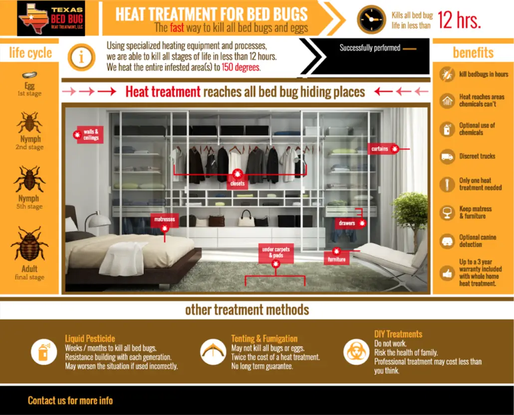 Bed Bug Treatment Chart Infographic