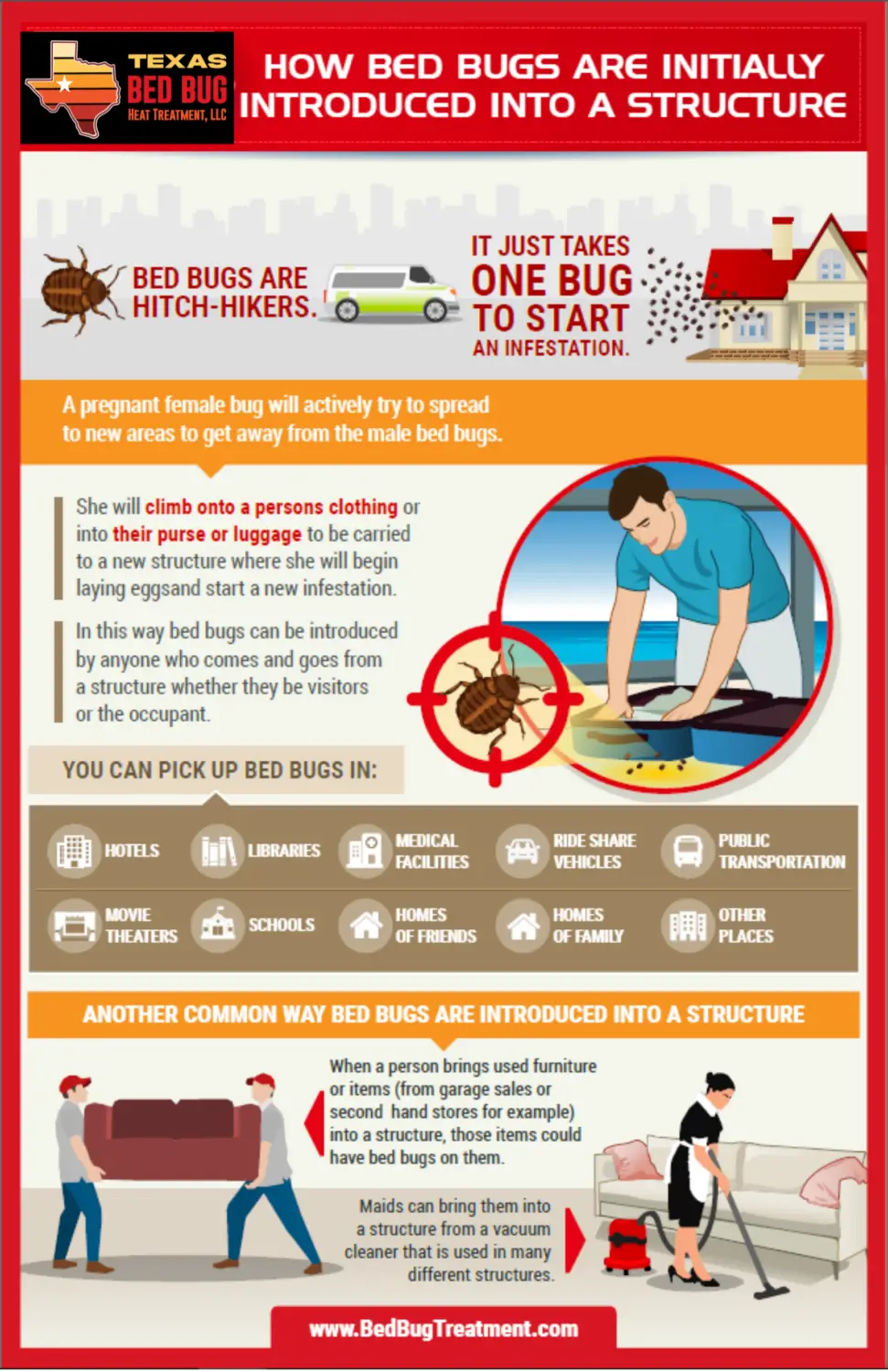 How do you get bed bugs