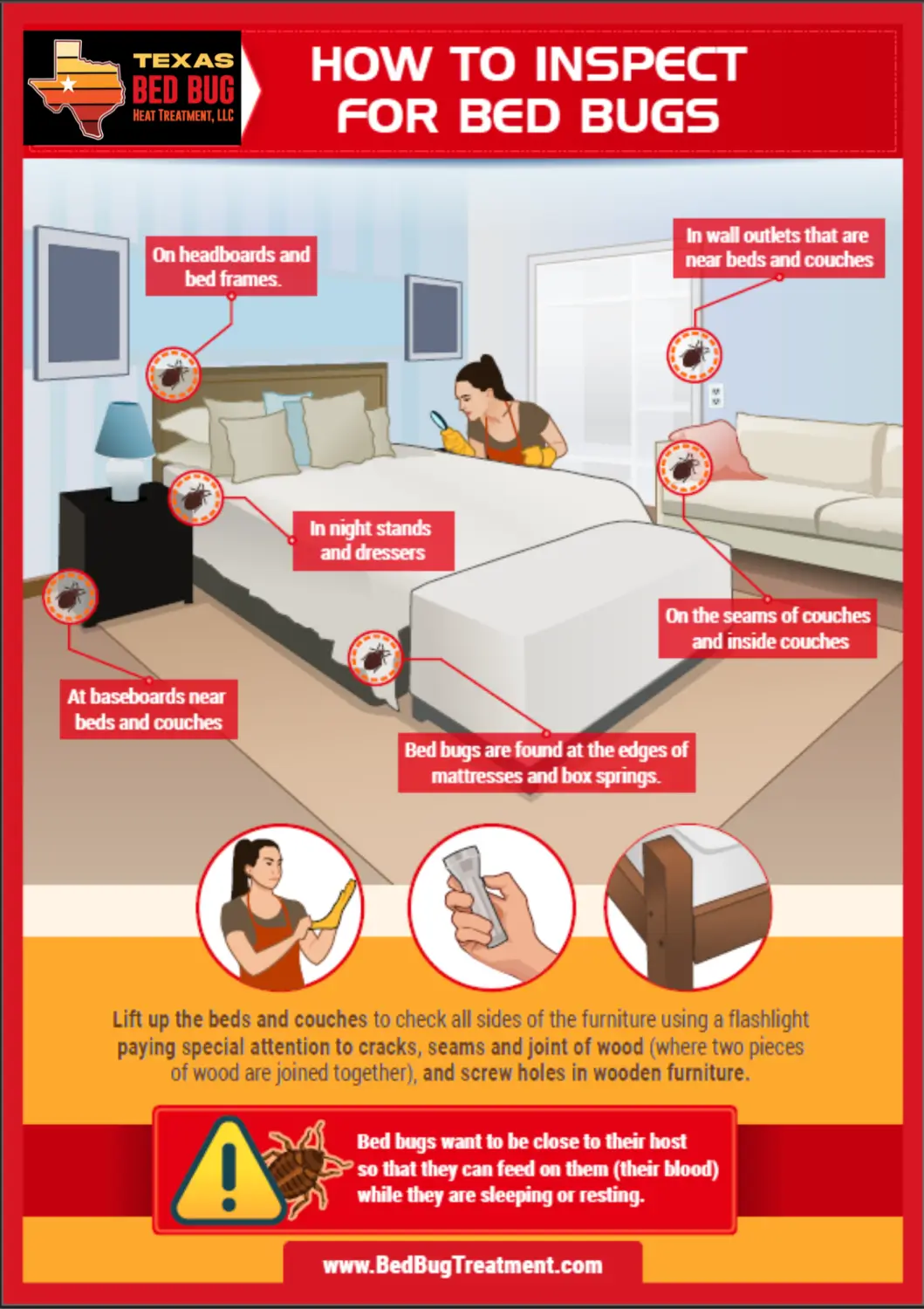 How to Inspect for Bed Bugs